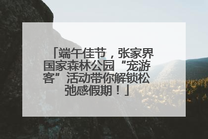 端午佳节，张家界国家森林公园“宠游客”活动带你解锁松弛感假期！