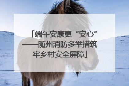 端午安康更“安心”——随州消防多举措筑牢乡村安全屏障