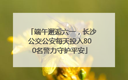 端午邂逅六一，长沙公交公安每天投入800名警力守护平安