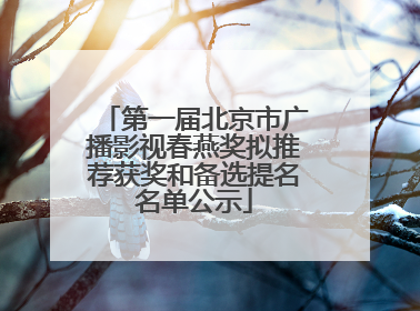 第一届北京市广播影视春燕奖拟推荐获奖和备选提名名单公示