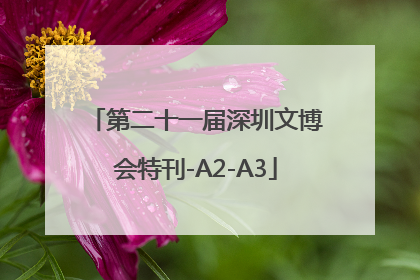第二十一届深圳文博会特刊-A2-A3