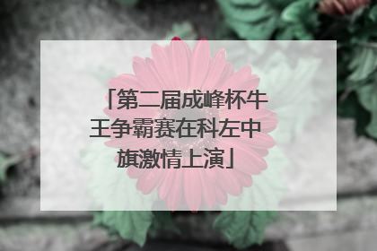 第二届成峰杯牛王争霸赛在科左中旗激情上演