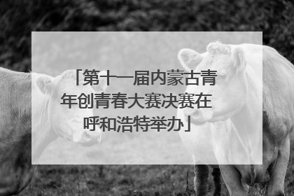第十一届内蒙古青年创青春大赛决赛在呼和浩特举办