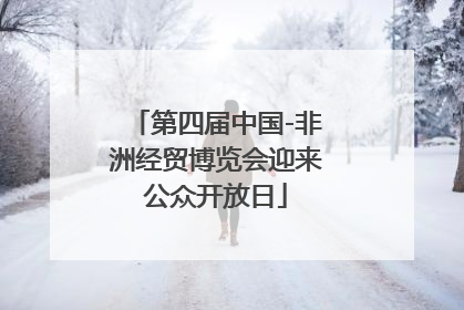 第四届中国-非洲经贸博览会迎来公众开放日