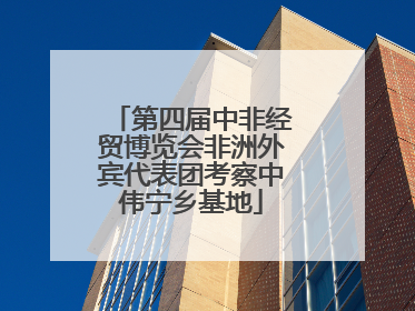 第四届中非经贸博览会非洲外宾代表团考察中伟宁乡基地