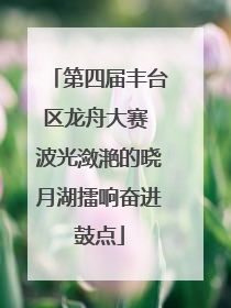 第四届丰台区龙舟大赛 波光潋滟的晓月湖擂响奋进鼓点