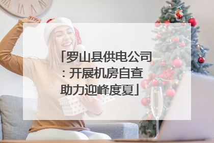 罗山县供电公司：开展机房自查 助力迎峰度夏