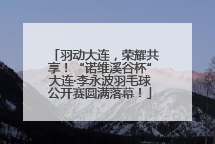 羽动大连，荣耀共享！“诺维溪谷杯”大连·李永波羽毛球公开赛圆满落幕！