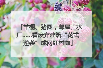 羊棚、猪圈，邮局、水厂……看废弃建筑“花式逆袭”成网红村咖