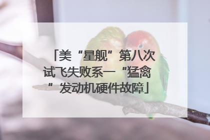 美“星舰”第八次试飞失败系一“猛禽”发动机硬件故障