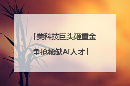 美科技巨头砸重金争抢稀缺AI人才