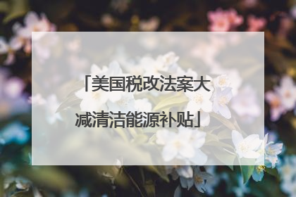 美国税改法案大减清洁能源补贴