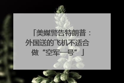 美媒警告特朗普：外国送的飞机不适合做“空军一号”