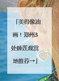 美得像油画！郑州3处睡莲观赏地推荐→