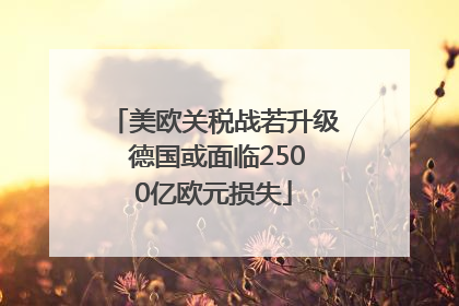 美欧关税战若升级 德国或面临2500亿欧元损失