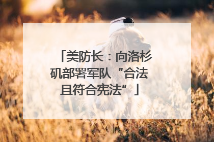 美防长：向洛杉矶部署军队“合法且符合宪法”