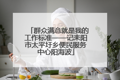 群众满意就是我的工作标准——记耒阳市太平圩乡便民服务中心阳海波