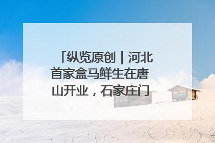 纵览原创｜河北首家盒马鲜生在唐山开业，石家庄门店预计8月开业