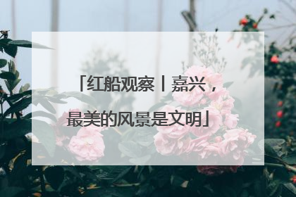 红船观察丨嘉兴，最美的风景是文明