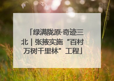 绿满陇原·奇迹三北｜张掖实施“百村万树千里林”工程