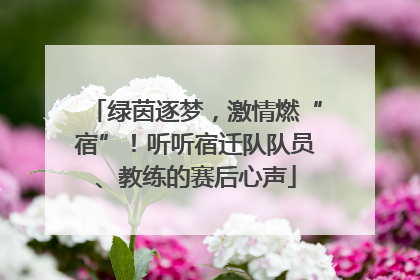 绿茵逐梦，激情燃“宿”！听听宿迁队队员、教练的赛后心声