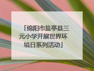 绵阳市盐亭县三元小学开展世界环境日系列活动