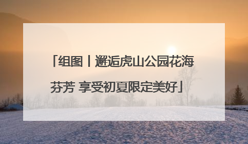 组图丨邂逅虎山公园花海芬芳 享受初夏限定美好