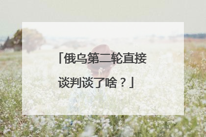 俄乌第二轮直接谈判谈了啥？