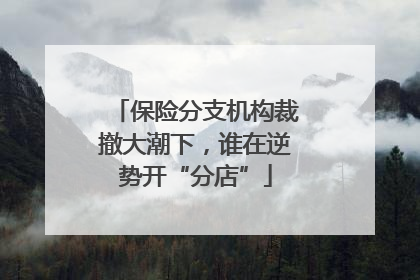 保险分支机构裁撤大潮下，谁在逆势开“分店”