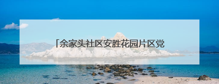 余家头社区安胜花园片区党支部开展廉政主题党日活动