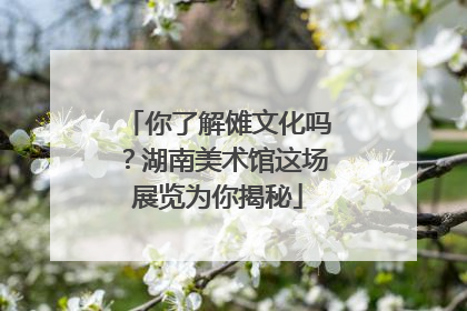 你了解傩文化吗？湖南美术馆这场展览为你揭秘