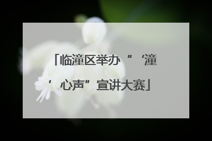 临潼区举办“‘潼’心声”宣讲大赛