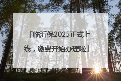 临沂保2025正式上线，缴费开始办理啦