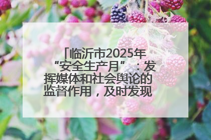 临沂市2025年“安全生产月”：发挥媒体和社会舆论的监督作用，及时发现并消除安全隐患