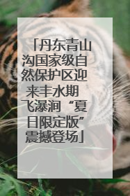 丹东青山沟国家级自然保护区迎来丰水期 飞瀑涧“夏日限定版”震撼登场