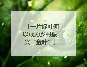 一片绿叶何以成为乡村振兴“金叶”