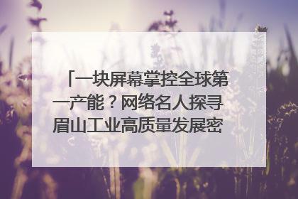 一块屏幕掌控全球第一产能？网络名人探寻眉山工业高质量发展密码｜网络名人四川行