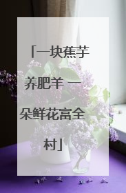 一块蕉芋养肥羊 一朵鲜花富全村
