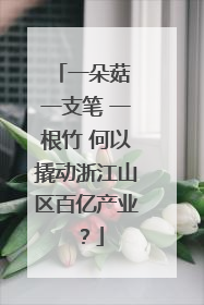 一朵菇 一支笔 一根竹 何以撬动浙江山区百亿产业？