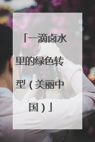 一滴卤水里的绿色转型（美丽中国）