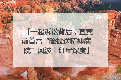 一起诉讼背后，宜宾前首富“险被送精神病院”风波丨红星深度