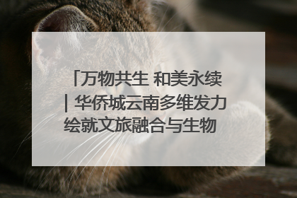 万物共生 和美永续｜华侨城云南多维发力 绘就文旅融合与生物多样性保护新图景