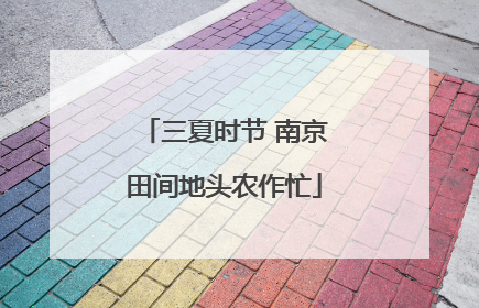 三夏时节 南京田间地头农作忙