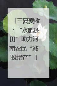 三夏麦收：“水肥还田”助力河南农民“减投增产”
