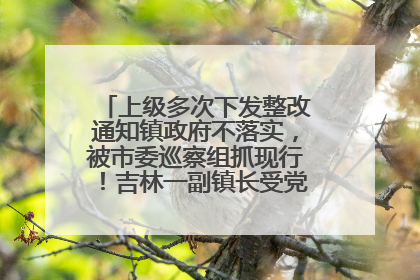上级多次下发整改通知镇政府不落实，被市委巡察组抓现行！吉林一副镇长受党内警告处分