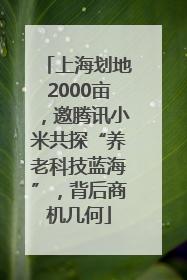 上海划地2000亩，邀腾讯小米共探“养老科技蓝海”，背后商机几何