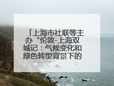 上海市社联等主办“伦敦-上海双城记：气候变化和绿色转型背景下的考古、历史和文化遗产”学术对话