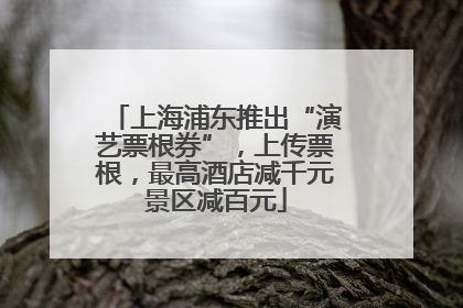上海浦东推出“演艺票根券”，上传票根，最高酒店减千元景区减百元