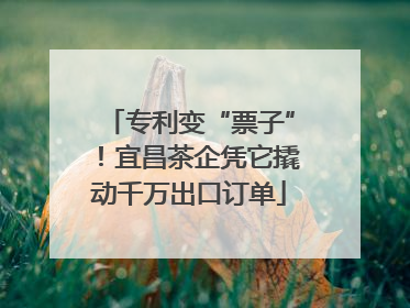 专利变“票子”！宜昌茶企凭它撬动千万出口订单