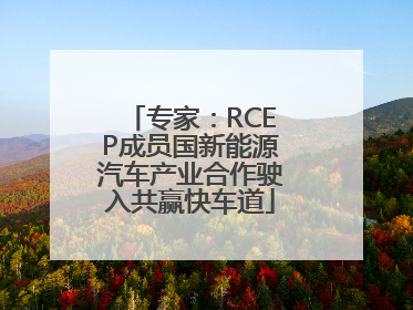 专家：RCEP成员国新能源汽车产业合作驶入共赢快车道